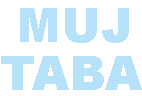 Mujtaba - Electrical Power Engineer - Scripting and Automation Expert - Full Stack developer